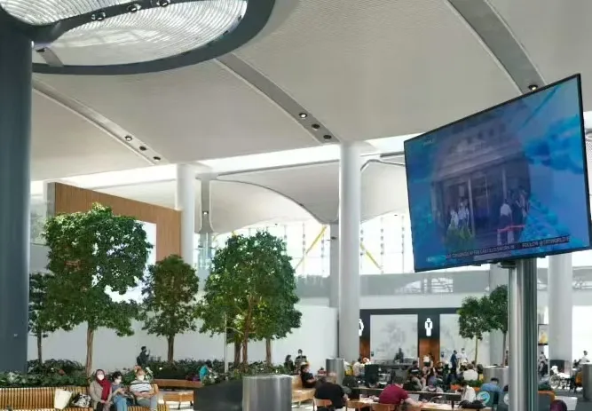 TV viewing areas