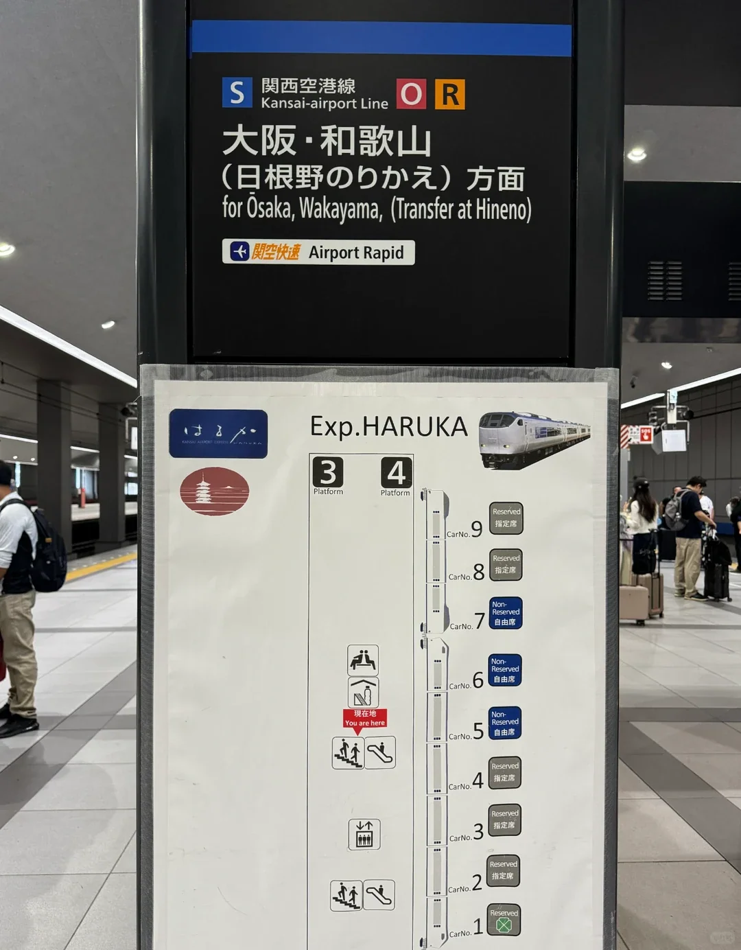 The carriage diagram on the platform, marking the reserved and non-reserved cars