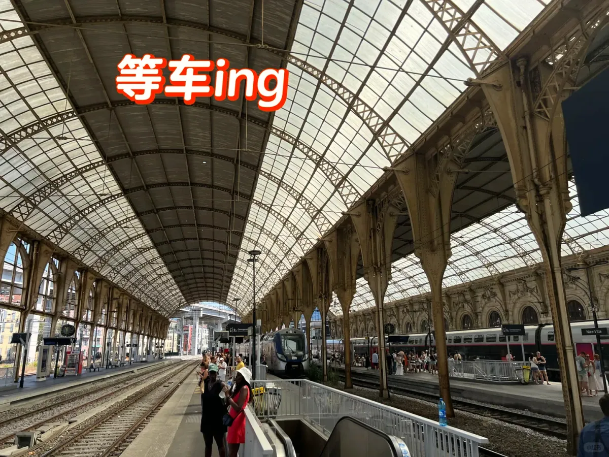 The platforms at Nice-Ville: TER trains under a huge glass-and-steel roof, with passengers waiting