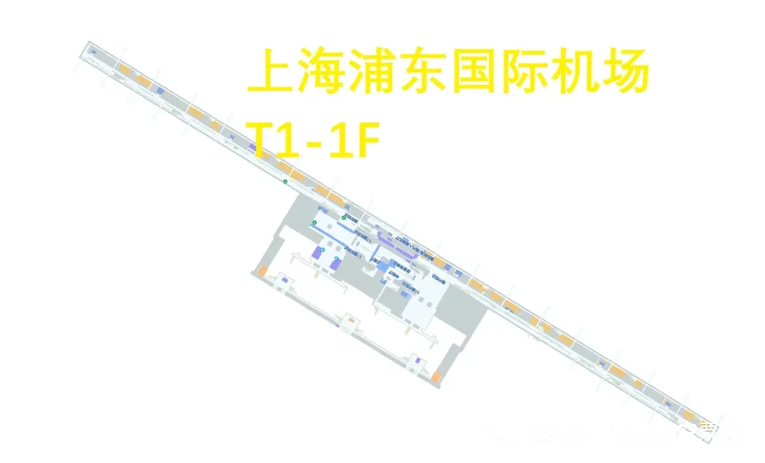 T1, floor 1