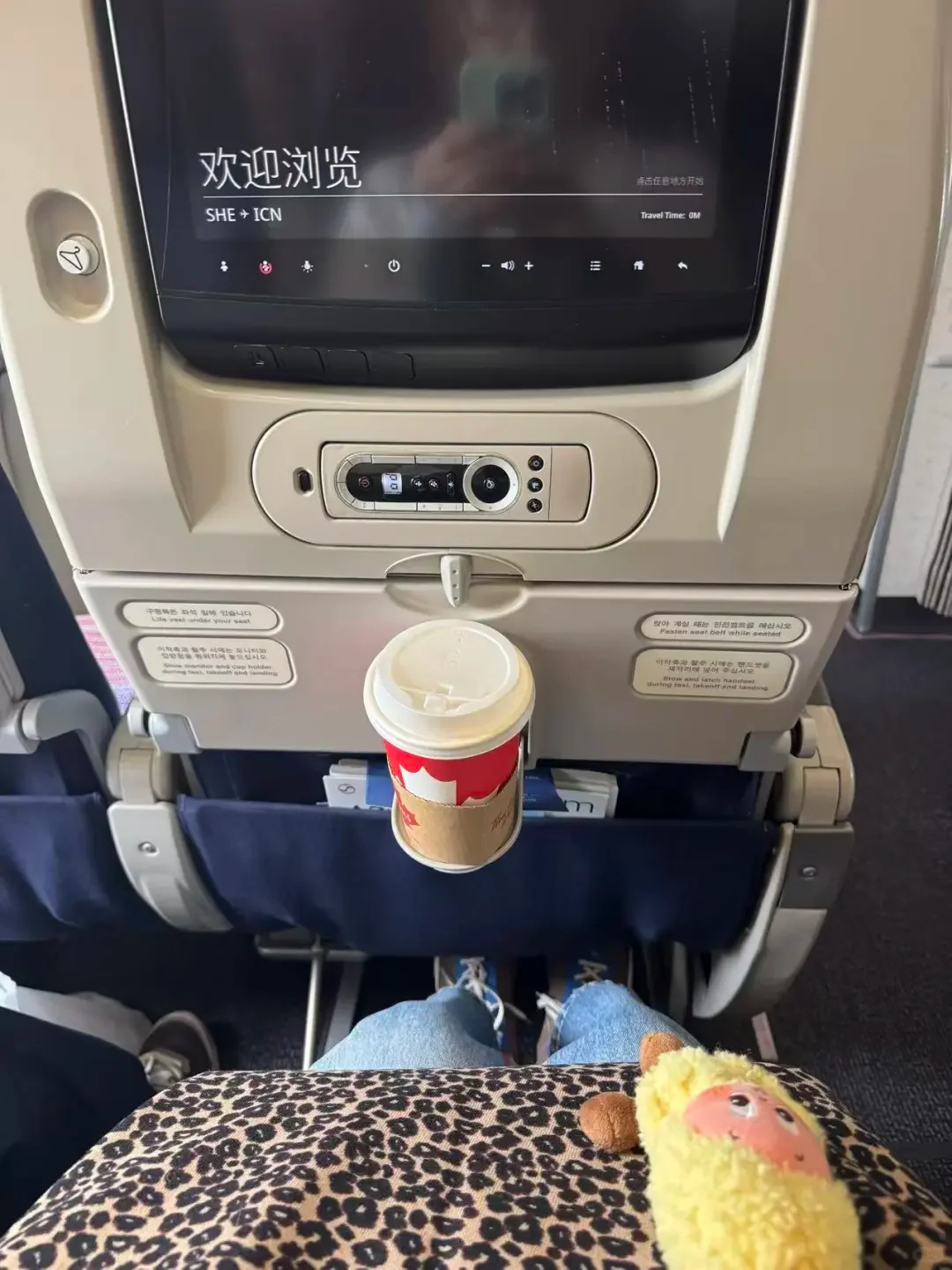 Seat-back screen on the Shenyang–Incheon flight