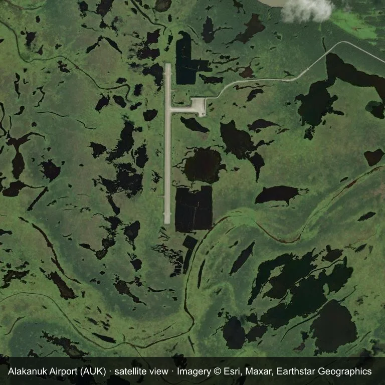 Satellitenbild: Der Alakanuk Airport (AUK) liegt zwischen dichter grüner Vegetation und kleinen Feldern.