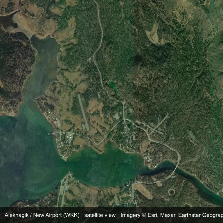 Satellitenbild des Aleknagik / New Airport (WKK), mit dem Flugfeld inmitten dichter grüner Vegetation und kleiner Felder.